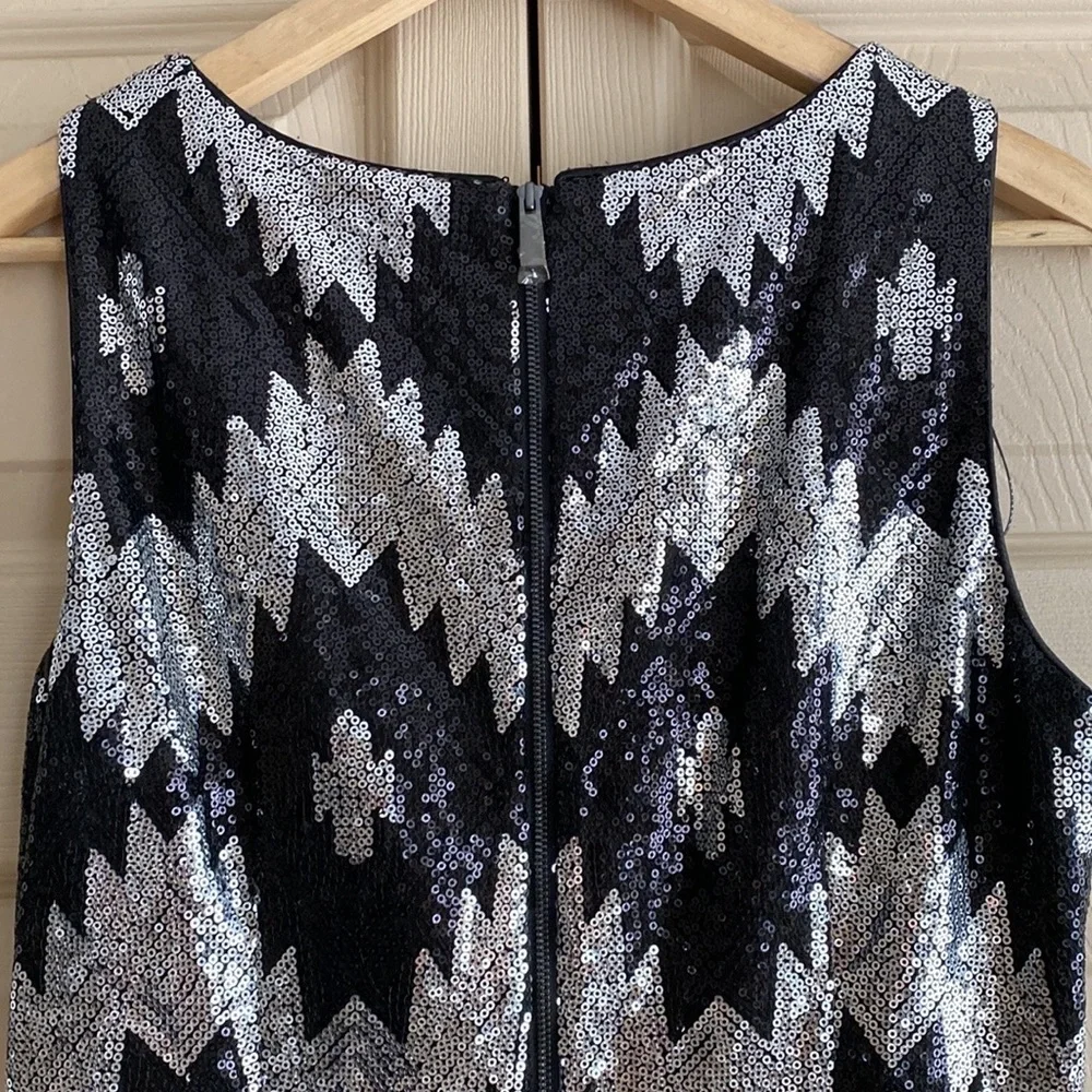 1920’s Style Flapper Sequin Dress - Picture 6 of 12